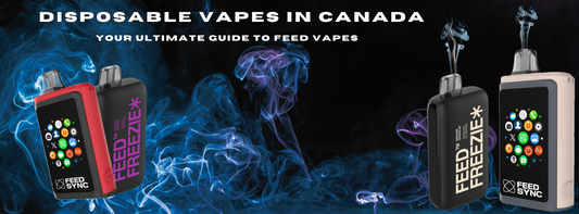Disposable Vapes in Canada: Your Ultimate Guide to Feed Vapes